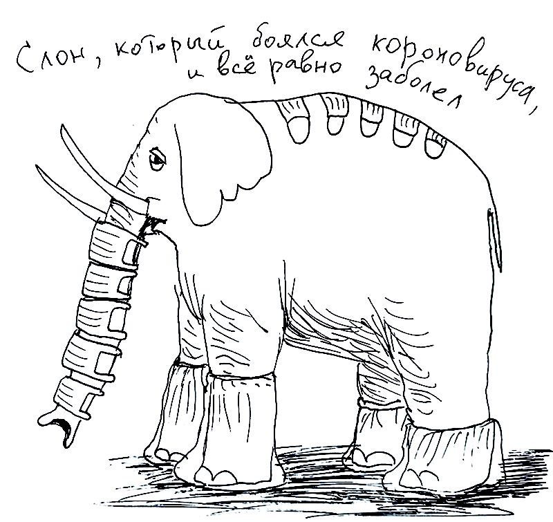 zu-slon