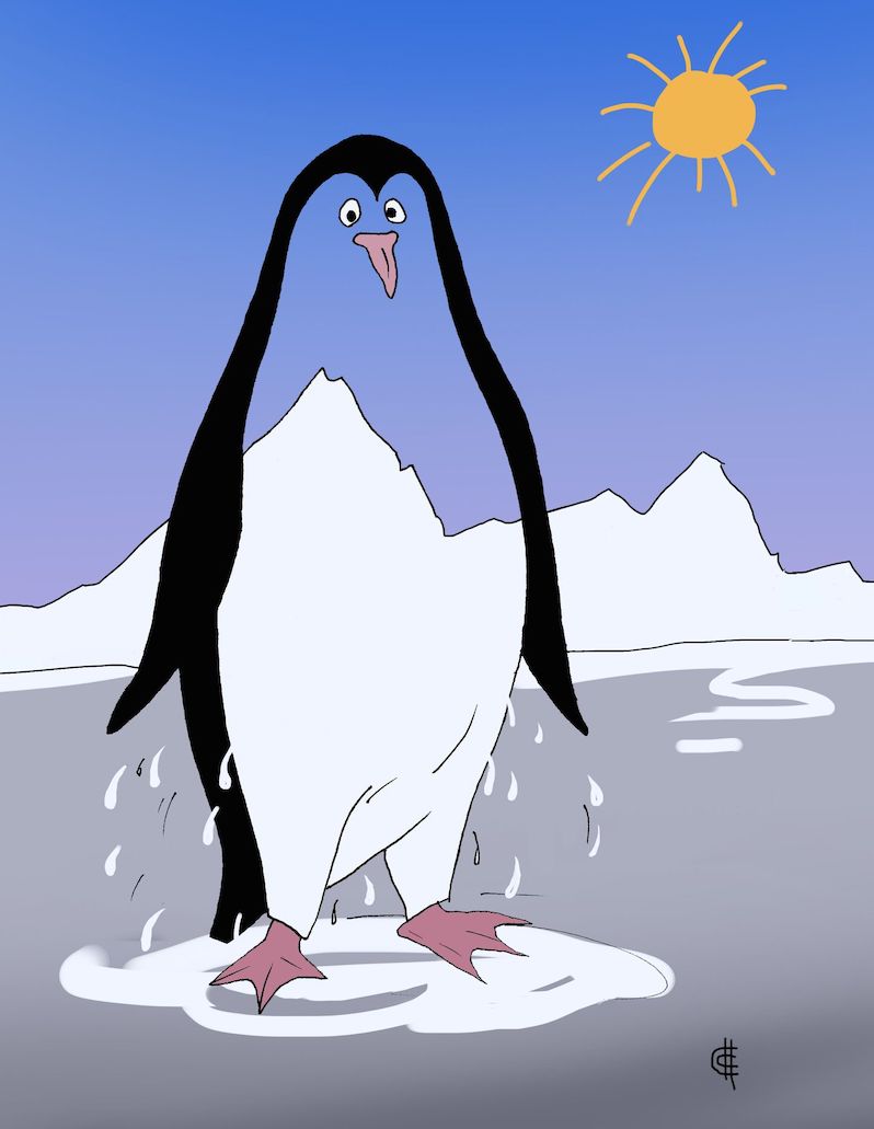 sych_penguin